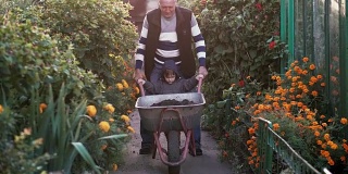 祖父和孙子坐在手推车上在花园里干活。老人在户外帮助小男孩。4 k
