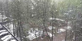 这个城市在春暖花开的时候下雪