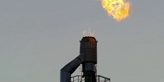 在灰色天空的映衬下，炼油厂里燃烧着的火炬