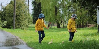 美丽的孩子们，和小鸭子在雨中玩耍，夏天的时光
