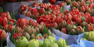 在欧洲花卉市场出售不同颜色的郁金香