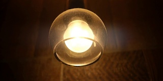 复古灯泡照明系列。球的形状。
