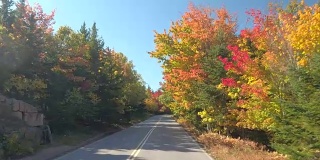 POV:在阳光明媚的日子里，行驶在风景优美的高速公路上，穿过五颜六色的落叶林