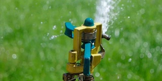 用院子里的洒水器浇绿草。闪闪发光的水从洒水车的喷头喷到绿色的草坪上。夏天园艺。慢动作拍摄120帧/秒