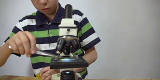 一个穿着条纹t恤的男孩在显微镜下检查植物的各个部分。