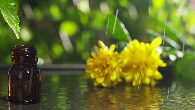 混合精油与水滴，香味和芳香的芳香疗法为健康和水疗。美丽的理念。芳香精油。精华液从树叶上滴入健康中心的泳池