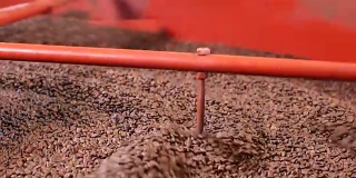 近距离观察在工业机器中转动和搅拌的烘培咖啡豆