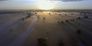 空中日出和雾在树梢在农村