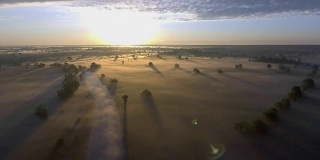 空中日出和雾在树梢在农村