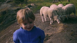 小男孩在大自然中与羊玩耍视频素材模板下载