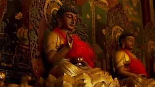 泰国大城府那空寺法南昌寺的中国佛像，世界遗产，公共场所，视频素材模板下载