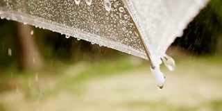 在阳光下下雨的伞的特写