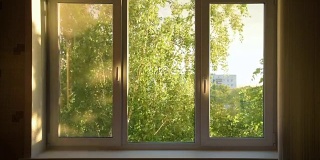紧闭的白窗俯瞰绿色花园