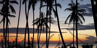 时间流逝的日出。印度尼西亚巴厘岛海滩上的棕榈树，海面上的日出