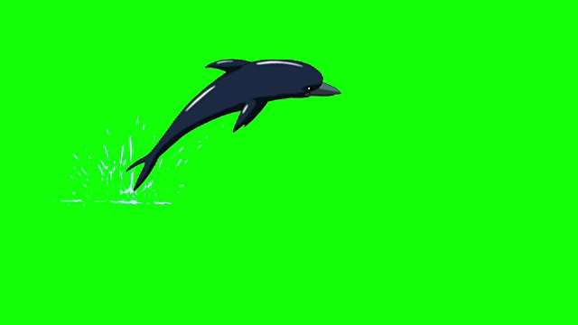 海豚跳出水面。前视图