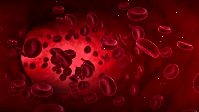 红血球活跃在动脉内，在体内流动，医疗人体保健