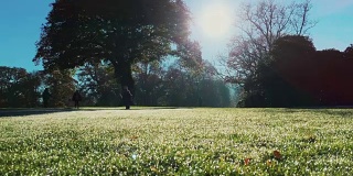 秋天的早晨，孩子们在英国乡村的清晨露珠草上奔跑
