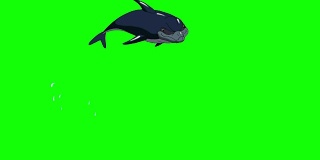海军蓝海豚跳出水面。