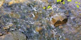河石透明的水背景