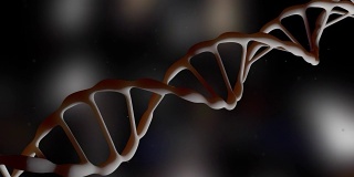 DNA。DNA链。摄像机在DNA分子周围飞行。基因工程的科学概念。飞行的粒子。现实的背景。3 d动画。