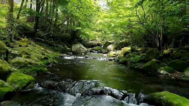清澈溪流景观