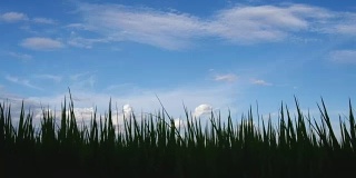 稻田与天空，滑梯拍摄