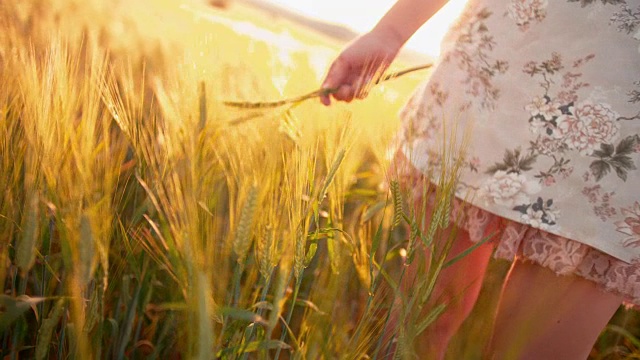 一个浪漫的女人在田里抚摸着麦穗