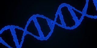 DNA的抽象背景