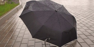 在雨中躺在路上的黑伞。