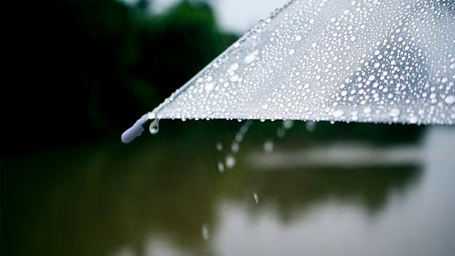 在外面的公园里下雨的伞的特写