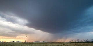 一段时间的雷雨在盛开的荞麦地上移动。