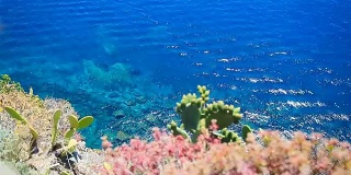 美丽的海岸线，利古里亚，意大利。透明的绿松石般的清水