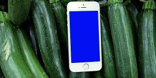 移动蓝屏手机上的西葫芦背景烹饪食谱的概念