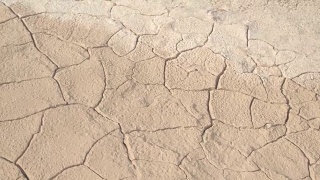 近距离观察:炎热阳光充足的沙漠中干裂的干旱土壤的细节视频素材模板下载