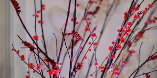 在暮色中，在白色的背景下，在摇曳的光线中，树枝上长着鲜红的浆果。花店-工作室的装饰元素