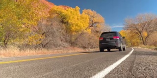黑色越野车驾驶过去黄色转弯的树叶树在阳光红色岩石峡谷