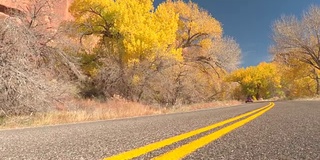 一辆红色的汽车在空旷的道路上行驶，经过令人惊叹的秋天黄色的树木