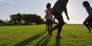 夏天，年轻的黑人家庭在田野里玩耍