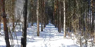 在大雪纷飞的冬天走在树林里，定格镜头拍摄