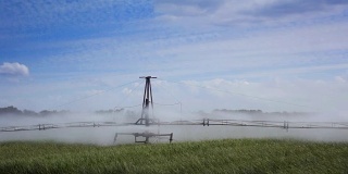 在夏季向麦田喷洒水的灌溉机