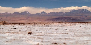 阿塔卡马沙漠中以安第斯山脉为背景的咸沙漠表面。