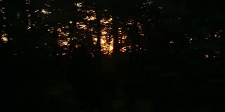 阳光透过树木的黑影照射进来。黎明或日落时从快速行驶的火车上看到的景色