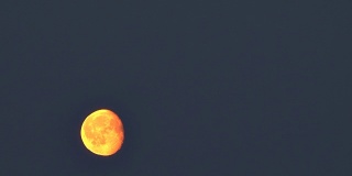 快速的月亮在夜晚升起