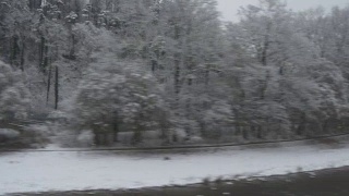 瑞士晚上时间冬季苏黎世郊区火车公路旅行雪域森林全景4k视频素材模板下载