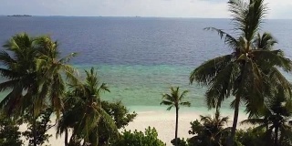 镜头从马尔代夫热带白色沙滩和绿松石般的印度洋上空的棕榈树中掠过，无人机拍摄的画面用了4k