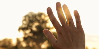 傍晚的阳光透过手指