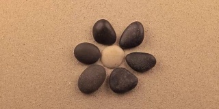 石头旋转成花的形状躺在沙子上。的概念。