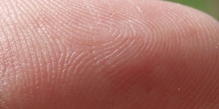 近距离微距:白种人食指皮肤图案的细节