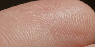 近距离微距:白种人指数皮肤指纹的细节