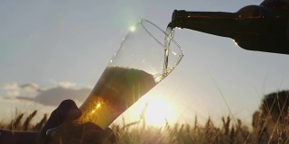 把啤酒从瓶子里倒进玻璃杯里。在日落时分的麦田里。慢动作视频